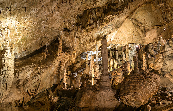 Baumanns- & Hermannshöhle in Rübeland