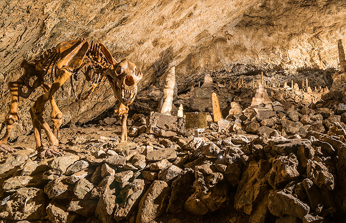 Baumanns- & Hermannshöhle in Rübeland