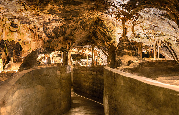 Baumanns- & Hermannshöhle in Rübeland